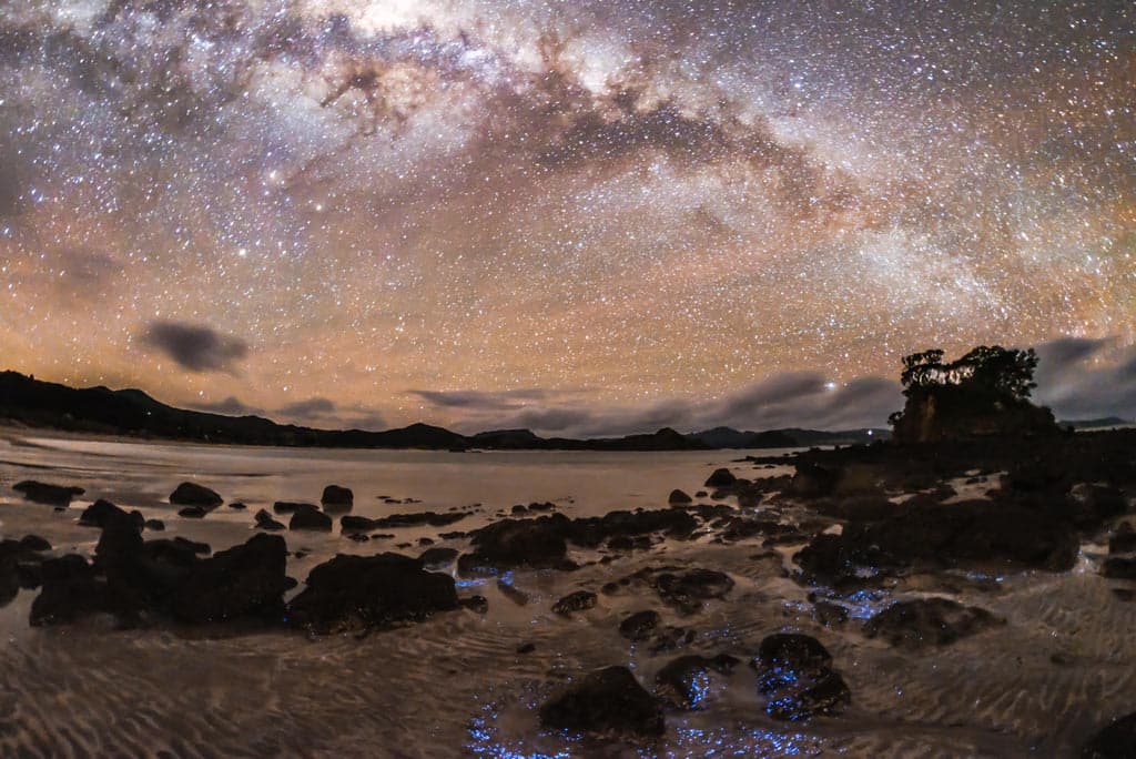 The Great Barrier Dark Sky Sanctuary